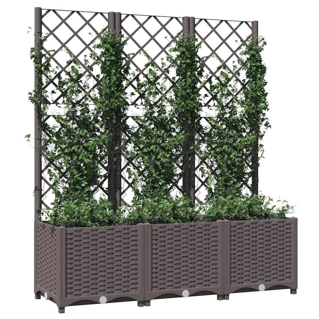 haveplantekasse med espalier brun 120x40x136 cm PP