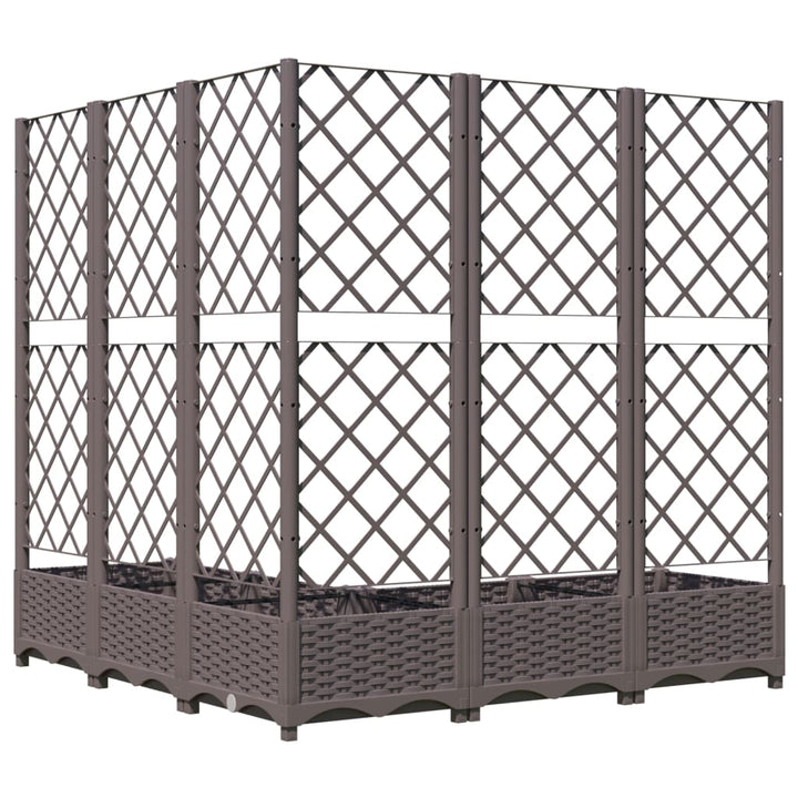 plantekasse med espalier 120x120x121,5 cm PP brun