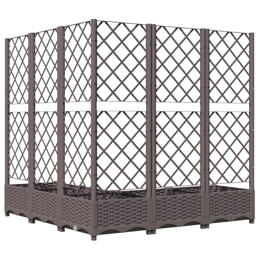 plantekasse med espalier 120x120x121,5 cm PP brun