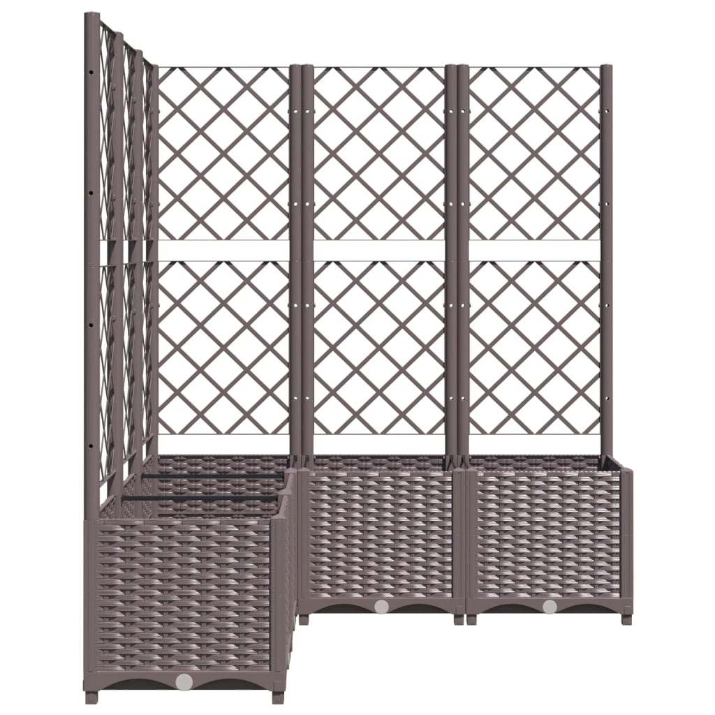plantekasse med espalier 120x120x136 cm PP brun