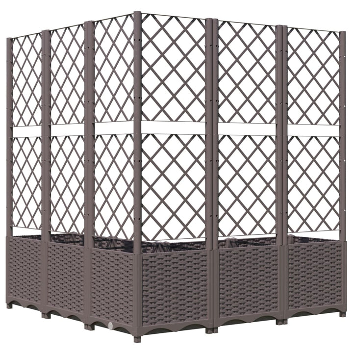 plantekasse med espalier 120x120x136 cm PP brun