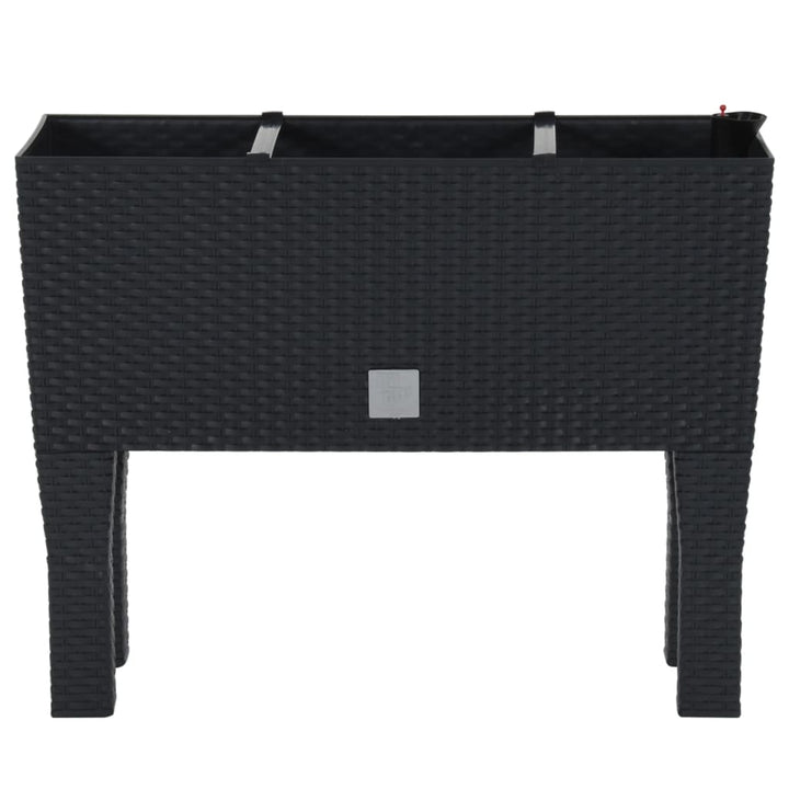 høj plantekasse 60x25x46 cm PP-rattan antracitgrå