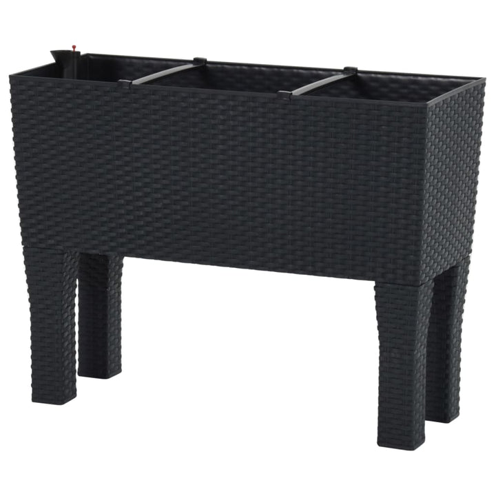høj plantekasse 60x25x46 cm PP-rattan antracitgrå