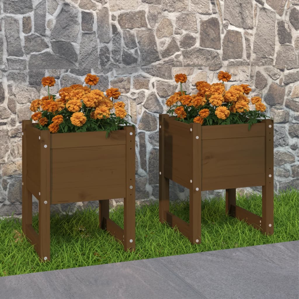 plantekasser 2 stk. 40x40x52,5 cm massivt fyrretræ gyldenbrun