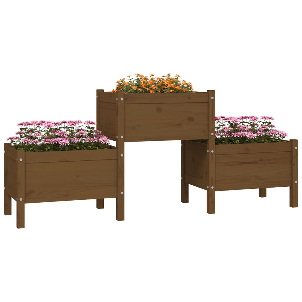 plantekasse 178,5x44x75 cm massivt fyrretræ gyldenbrun