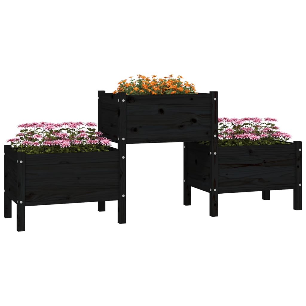 plantekasse 178,5x44x75 cm massivt fyrretræ sort
