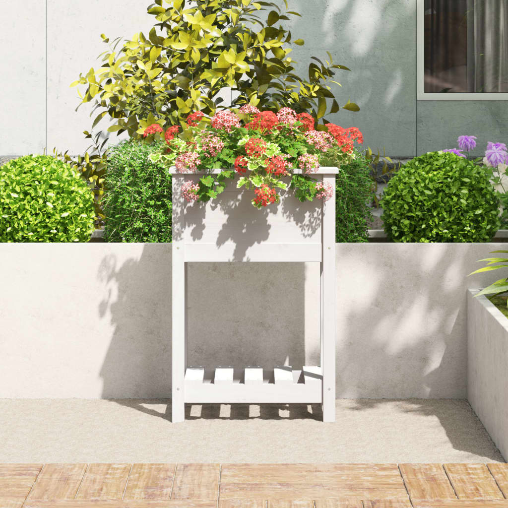 plantekasse med hylde 54x34,5x81 cm massivt fyrretræ hvid