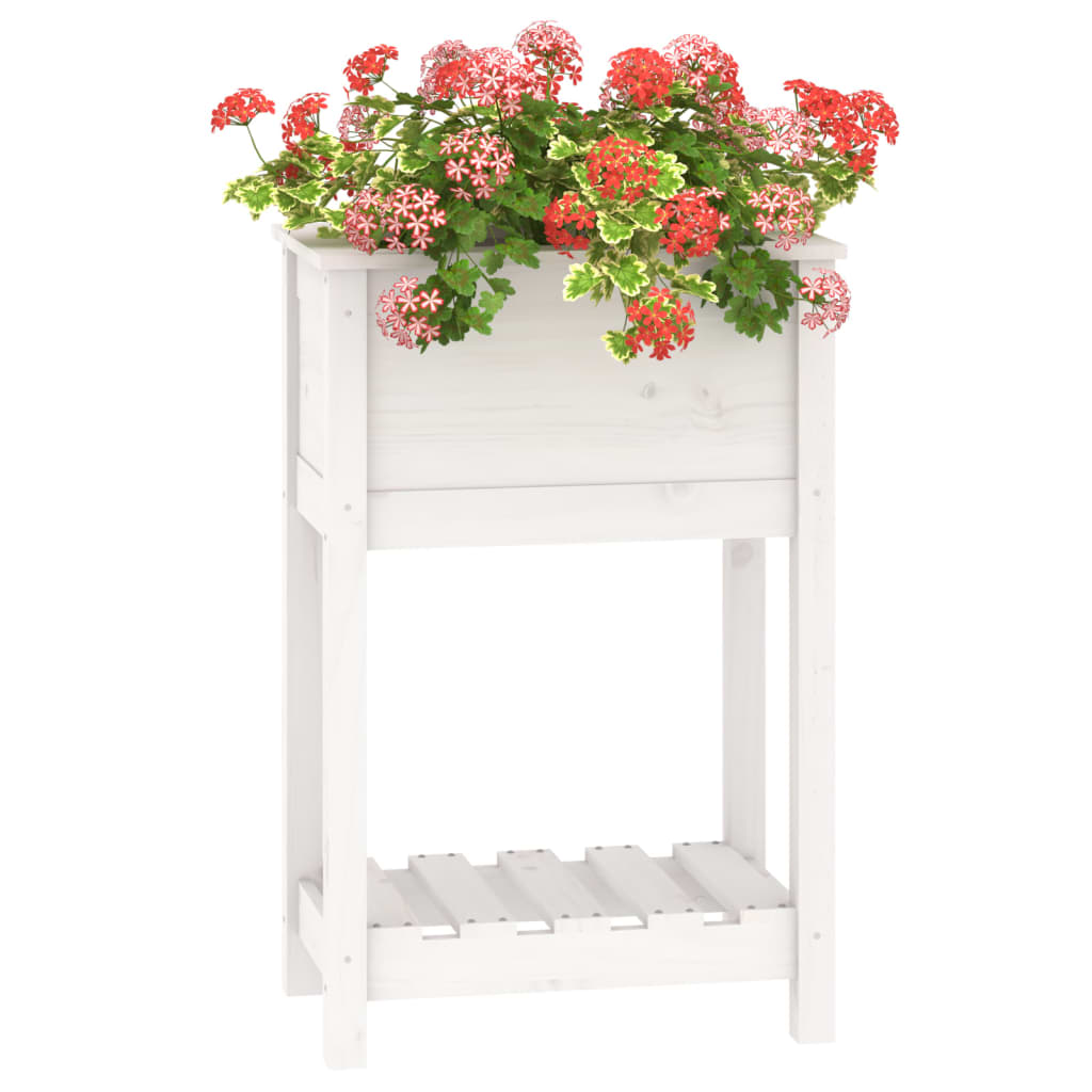 plantekasse med hylde 54x34,5x81 cm massivt fyrretræ hvid