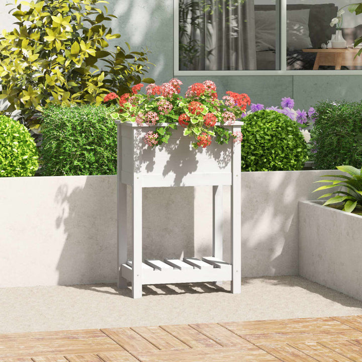 plantekasse med hylde 54x34,5x81 cm massivt fyrretræ hvid