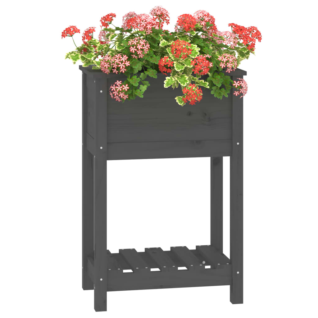 plantekasse med hylde 54x34,5x81 cm massivt fyrretræ grå