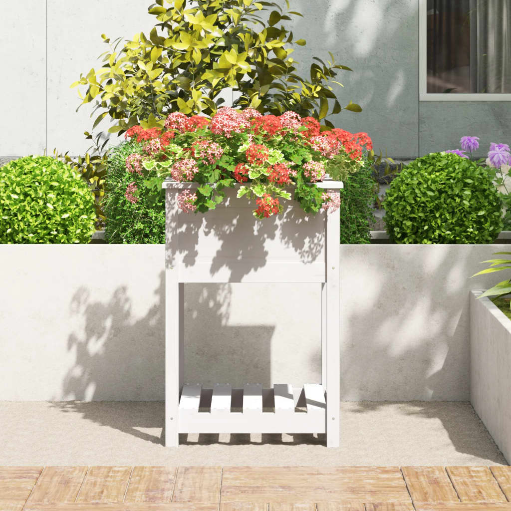 plantekasse med hylde 54x54x81 cm massivt fyrretræ hvid