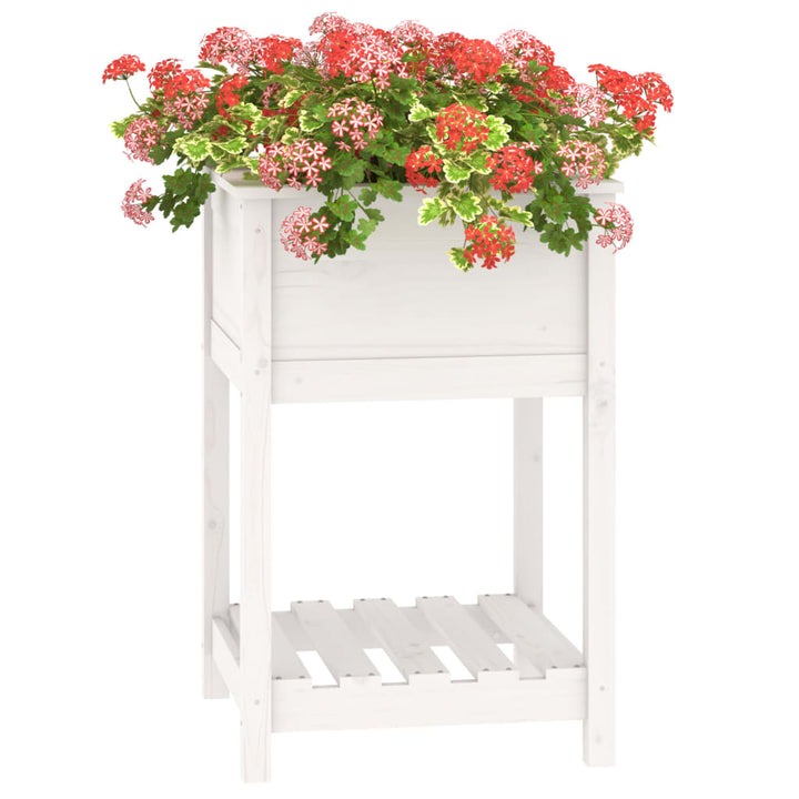 plantekasse med hylde 54x54x81 cm massivt fyrretræ hvid