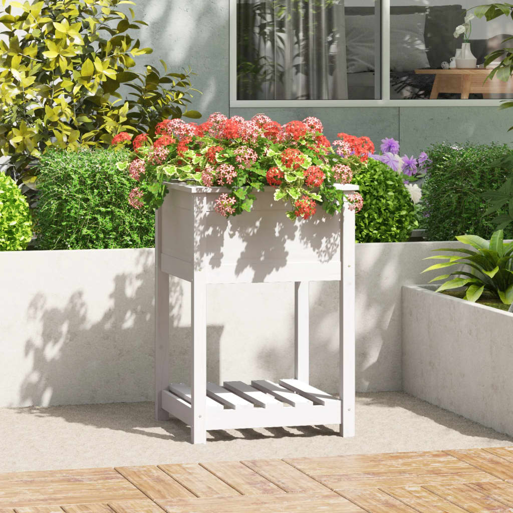plantekasse med hylde 54x54x81 cm massivt fyrretræ hvid