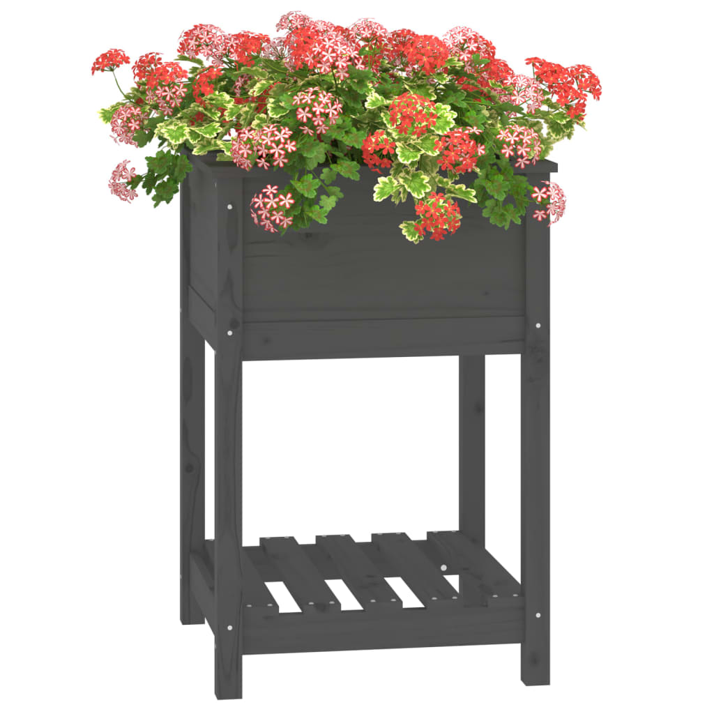 plantekasse med hylde 54x54x81 cm massivt fyrretræ grå