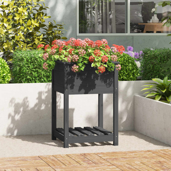 plantekasse med hylde 54x54x81 cm massivt fyrretræ grå