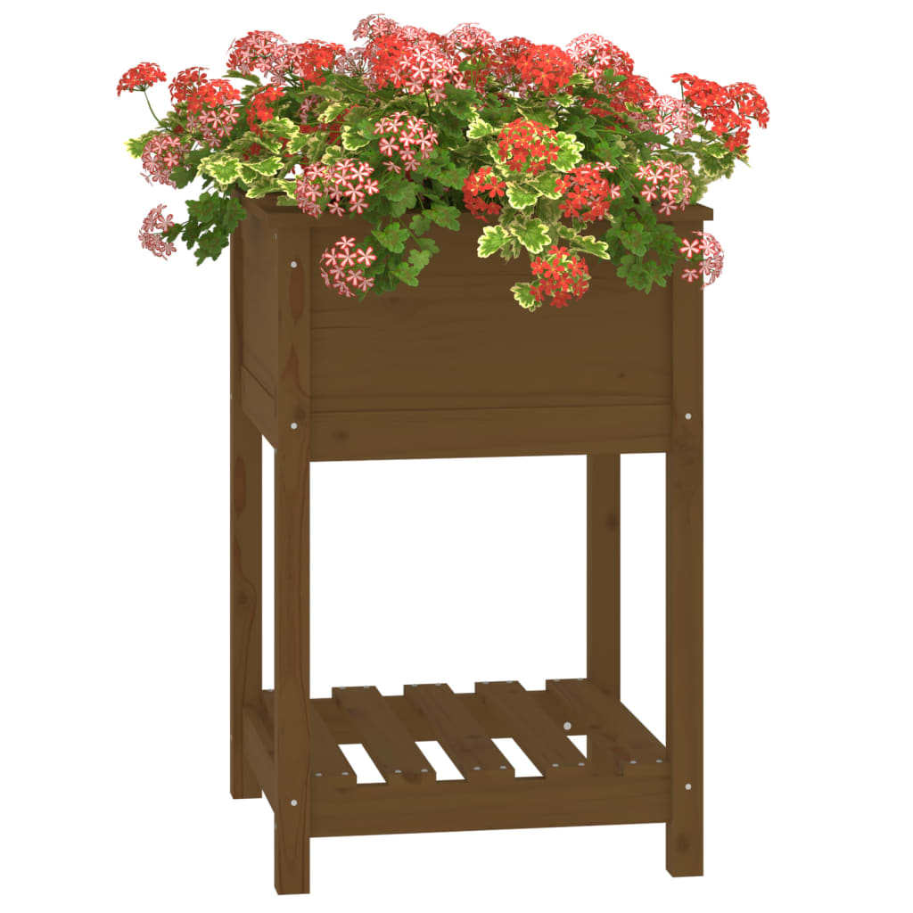plantekasse med hylde 54x54x81 cm massivt fyrretræ gyldenbrun
