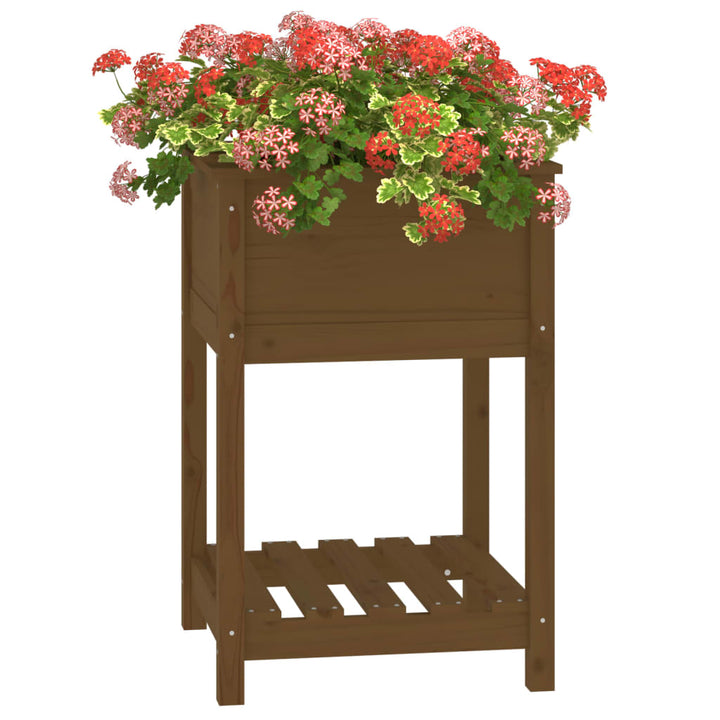 plantekasse med hylde 54x54x81 cm massivt fyrretræ gyldenbrun