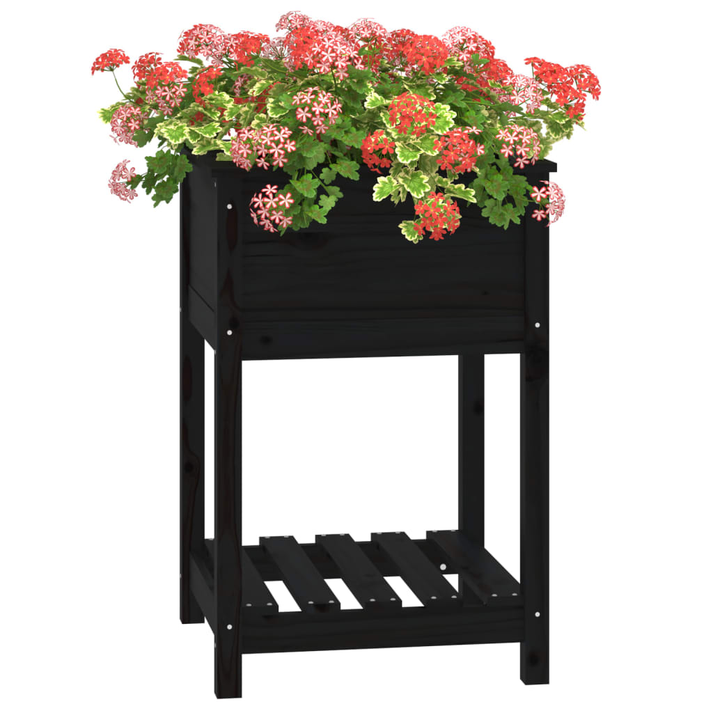 plantekasse med hylde 54x54x81 cm massivt fyrretræ sort