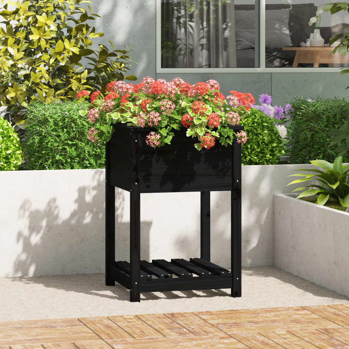plantekasse med hylde 54x54x81 cm massivt fyrretræ sort