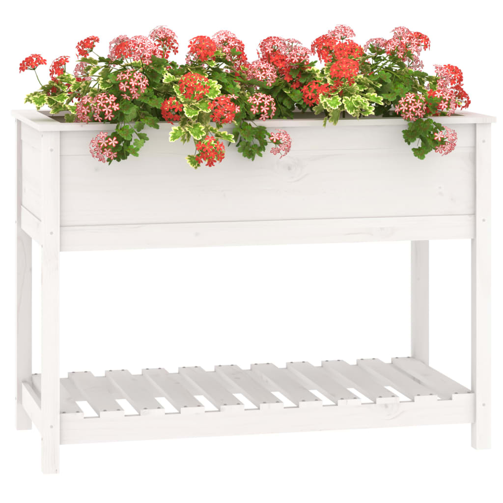 plantekasse med hylde 111,5x54x81 cm massivt fyrretræ hvid