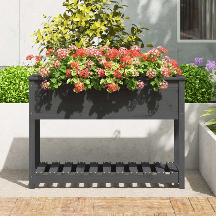 plantekasse med hylde 111,5x54x81 cm massivt fyrretræ grå