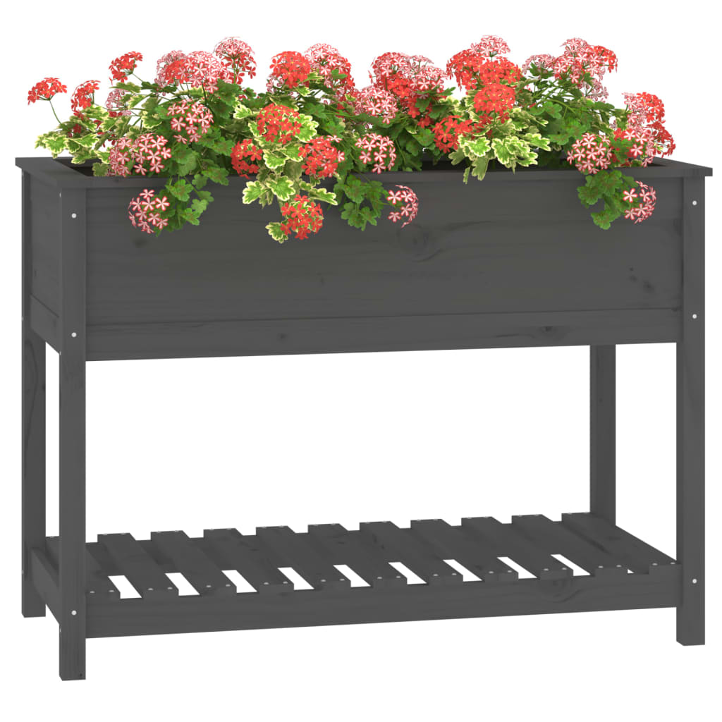 plantekasse med hylde 111,5x54x81 cm massivt fyrretræ grå