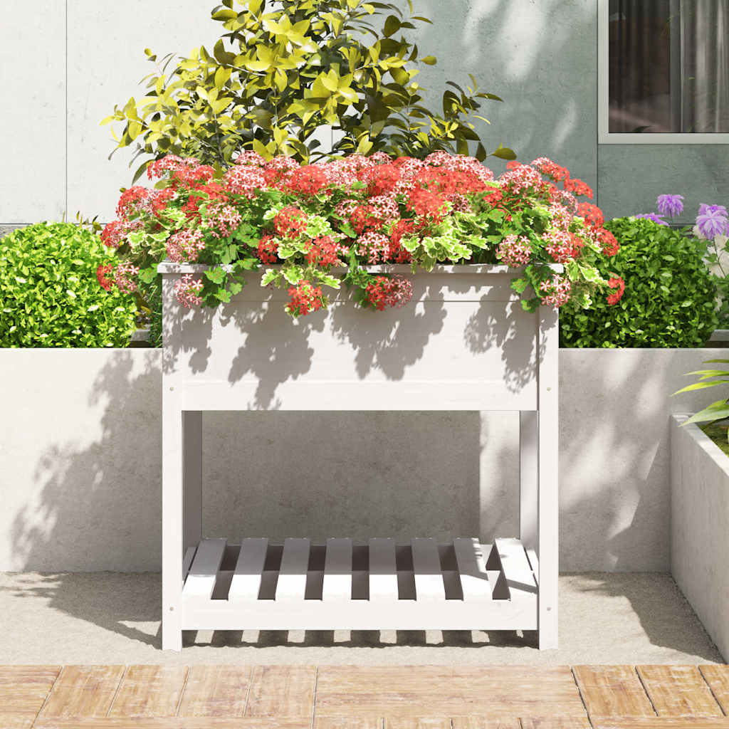 plantekasse med hylde 82,5x82,5x81 cm massivt fyrretræ hvid