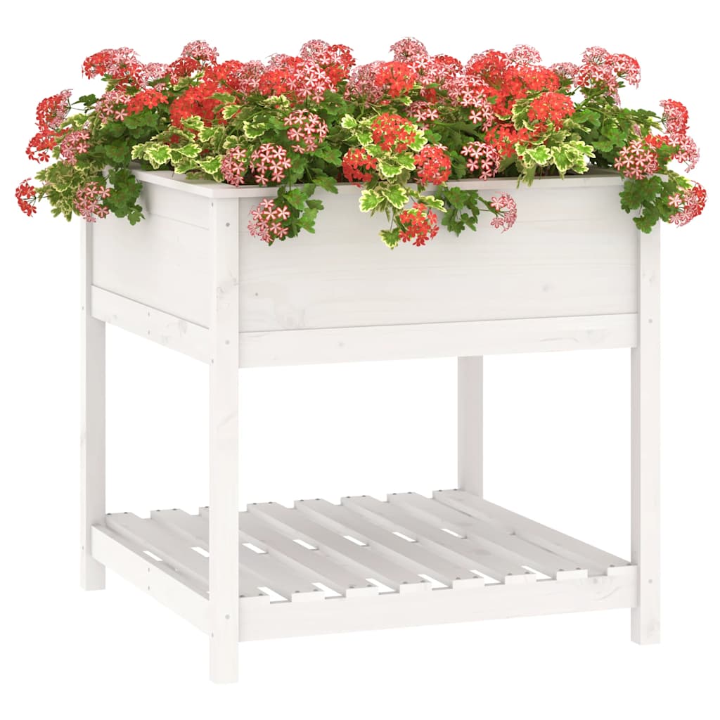 plantekasse med hylde 82,5x82,5x81 cm massivt fyrretræ hvid