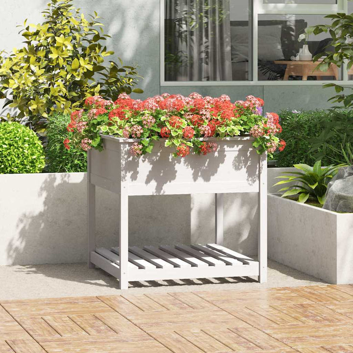 plantekasse med hylde 82,5x82,5x81 cm massivt fyrretræ hvid