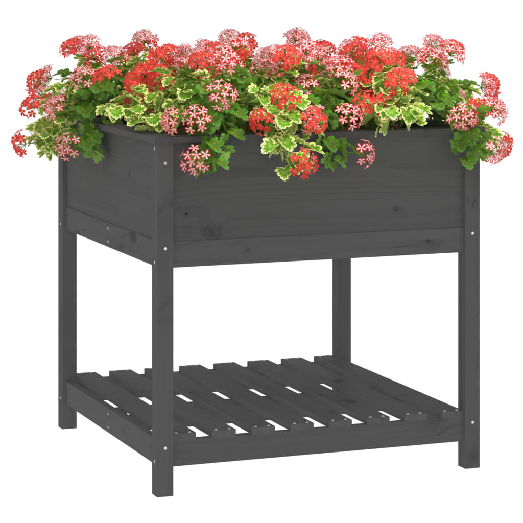 plantekasse med hylde 82,5x82,5x81 cm massivt fyrretræ grå