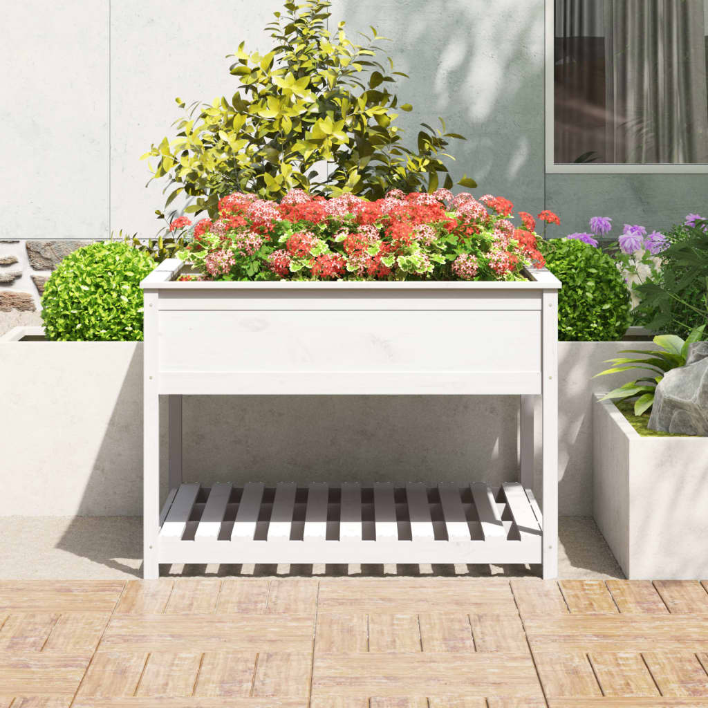 plantekasse med hylde 111,5x111,5x81 cm massivt fyrretræ hvid