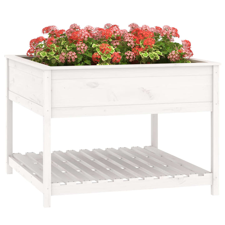 plantekasse med hylde 111,5x111,5x81 cm massivt fyrretræ hvid