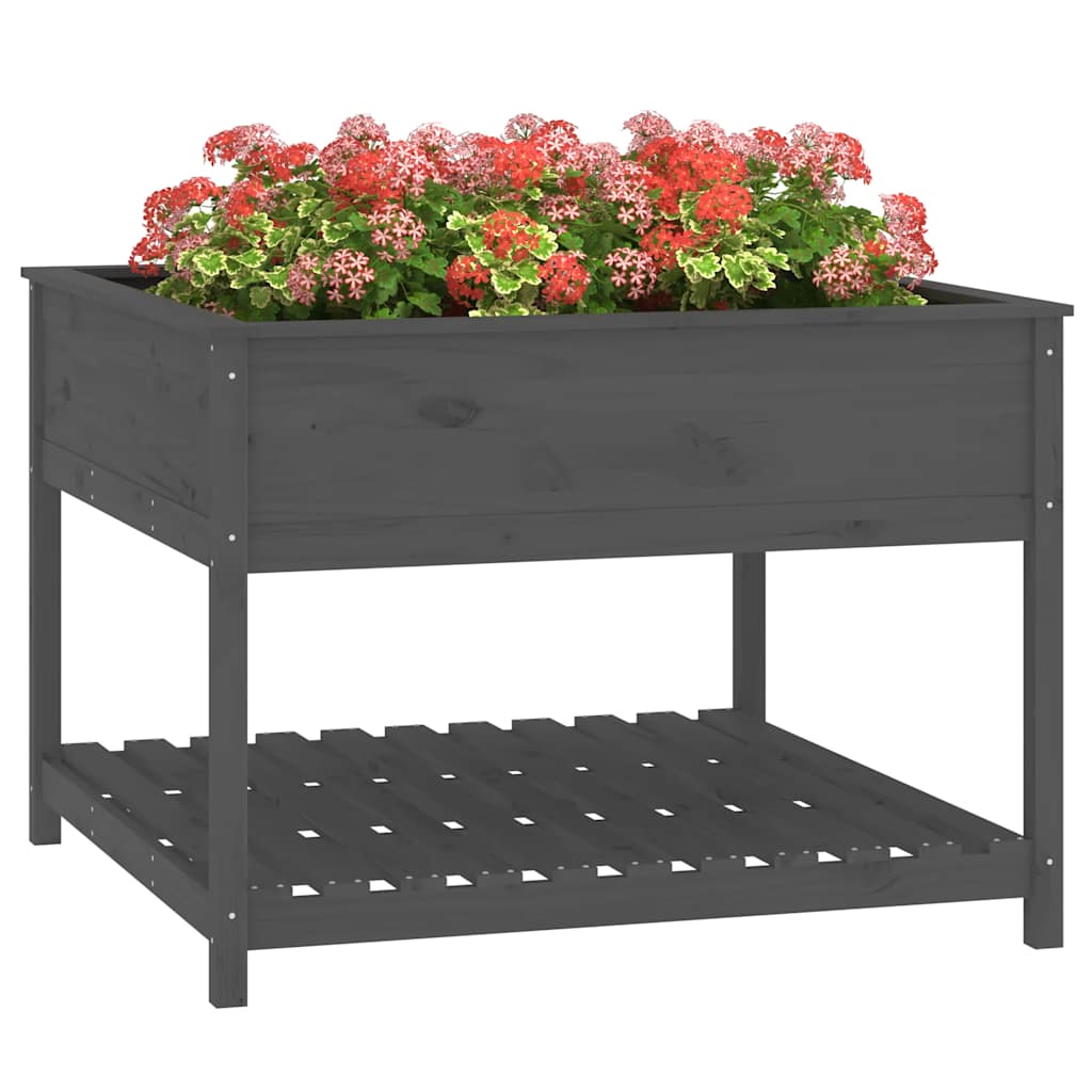 plantekasse med hylde 111,5x111,5x81 cm massivt fyrretræ grå