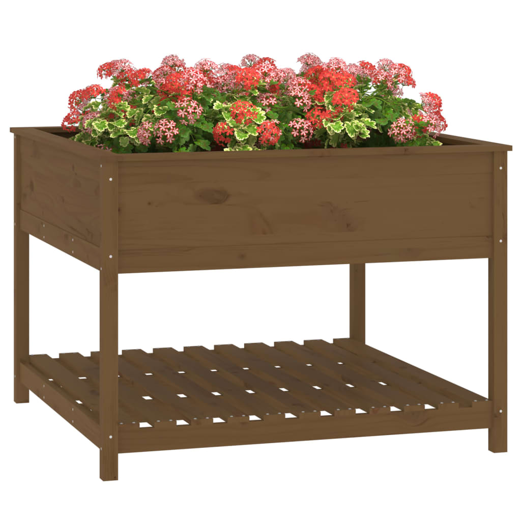 plantekasse med hylde 111,5x111,5x81 cm massivt fyrretræ brun