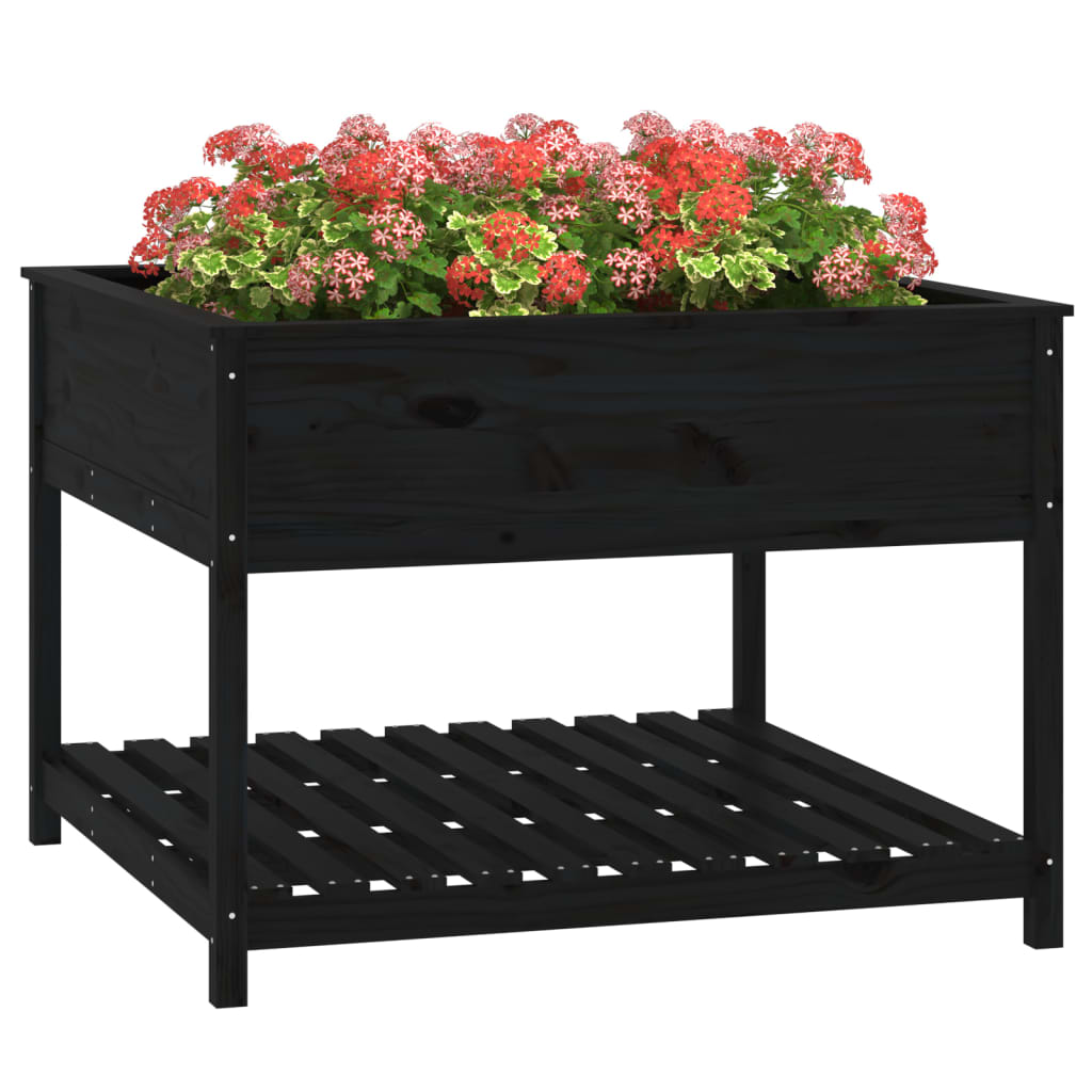 plantekasse med hylde 111,5x111,5x81 cm massivt fyrretræ sort