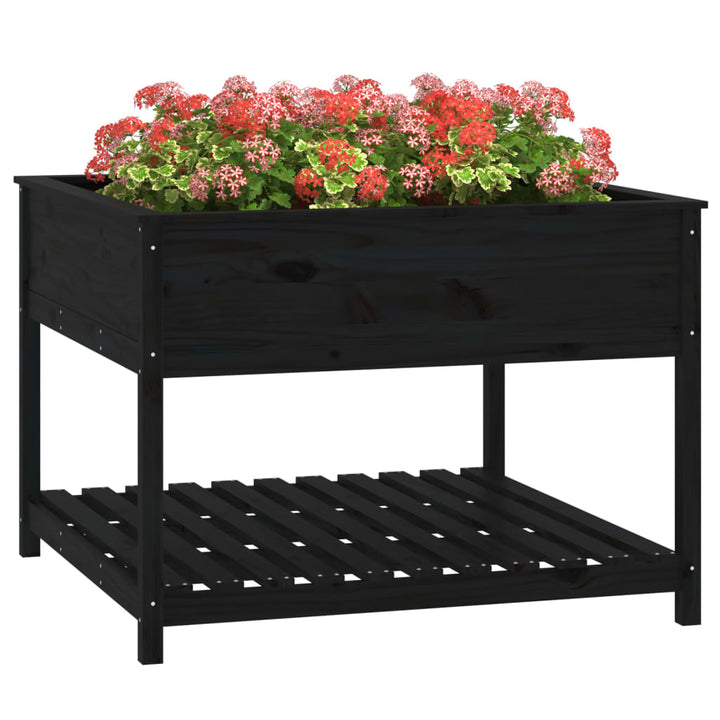 plantekasse med hylde 111,5x111,5x81 cm massivt fyrretræ sort