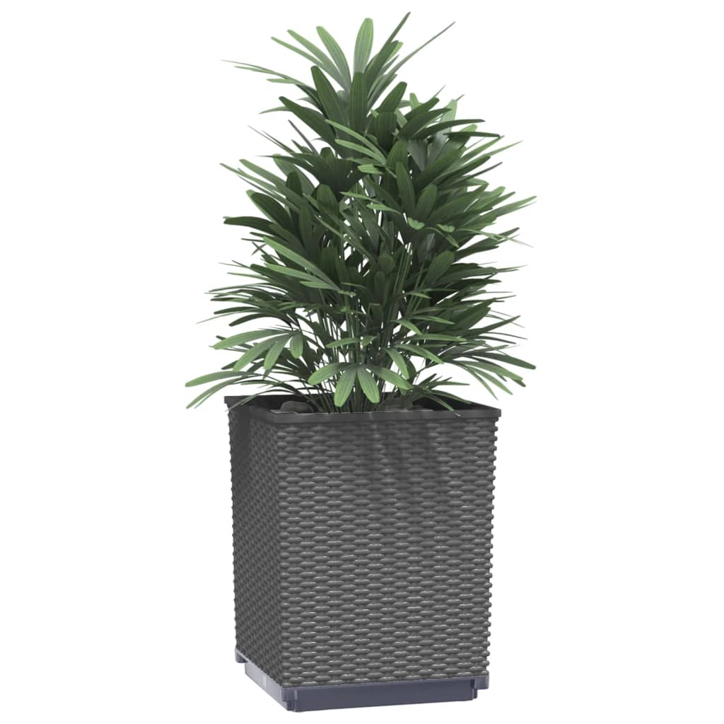 plantekasser 2 stk. 30x30x37 cm polypropylen sort