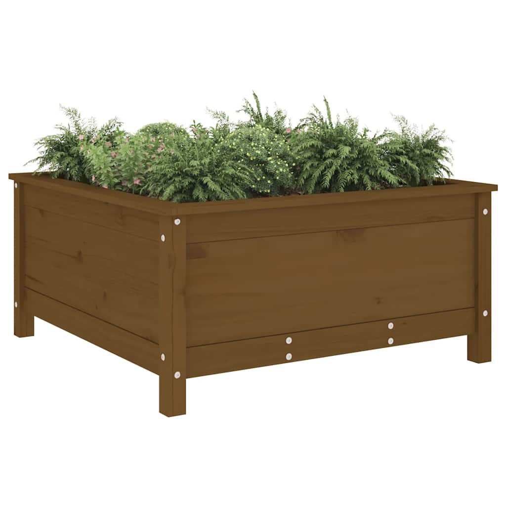 plantekasse 82,5x82,5x39 cm massivt fyrretræ gyldenbrun