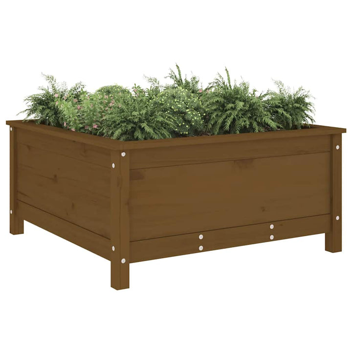 plantekasse 82,5x82,5x39 cm massivt fyrretræ gyldenbrun