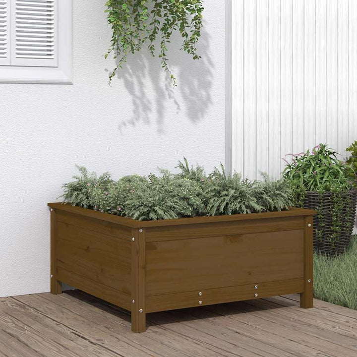 plantekasse 82,5x82,5x39 cm massivt fyrretræ gyldenbrun