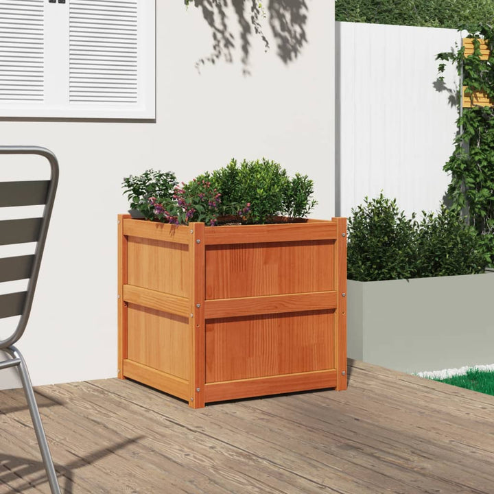 plantekasse 60x60x60 cm massivt fyrretræ gyldenbrun