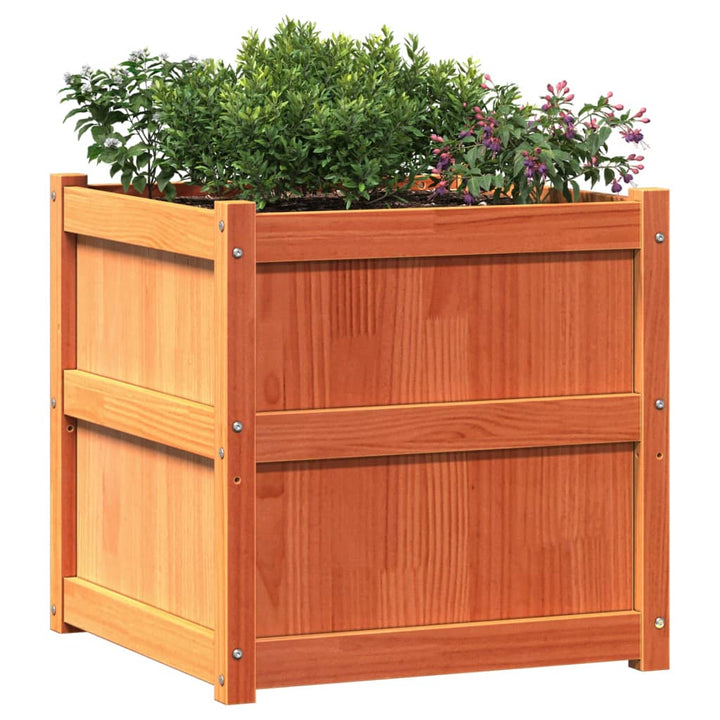 plantekasse 60x60x60 cm massivt fyrretræ gyldenbrun