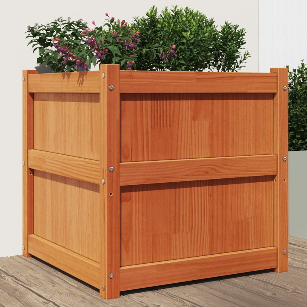 plantekasse 60x60x60 cm massivt fyrretræ gyldenbrun