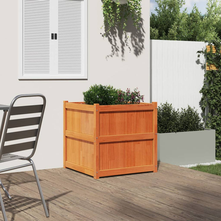 plantekasse 70x70x70 cm massivt fyrretræ gyldenbrun