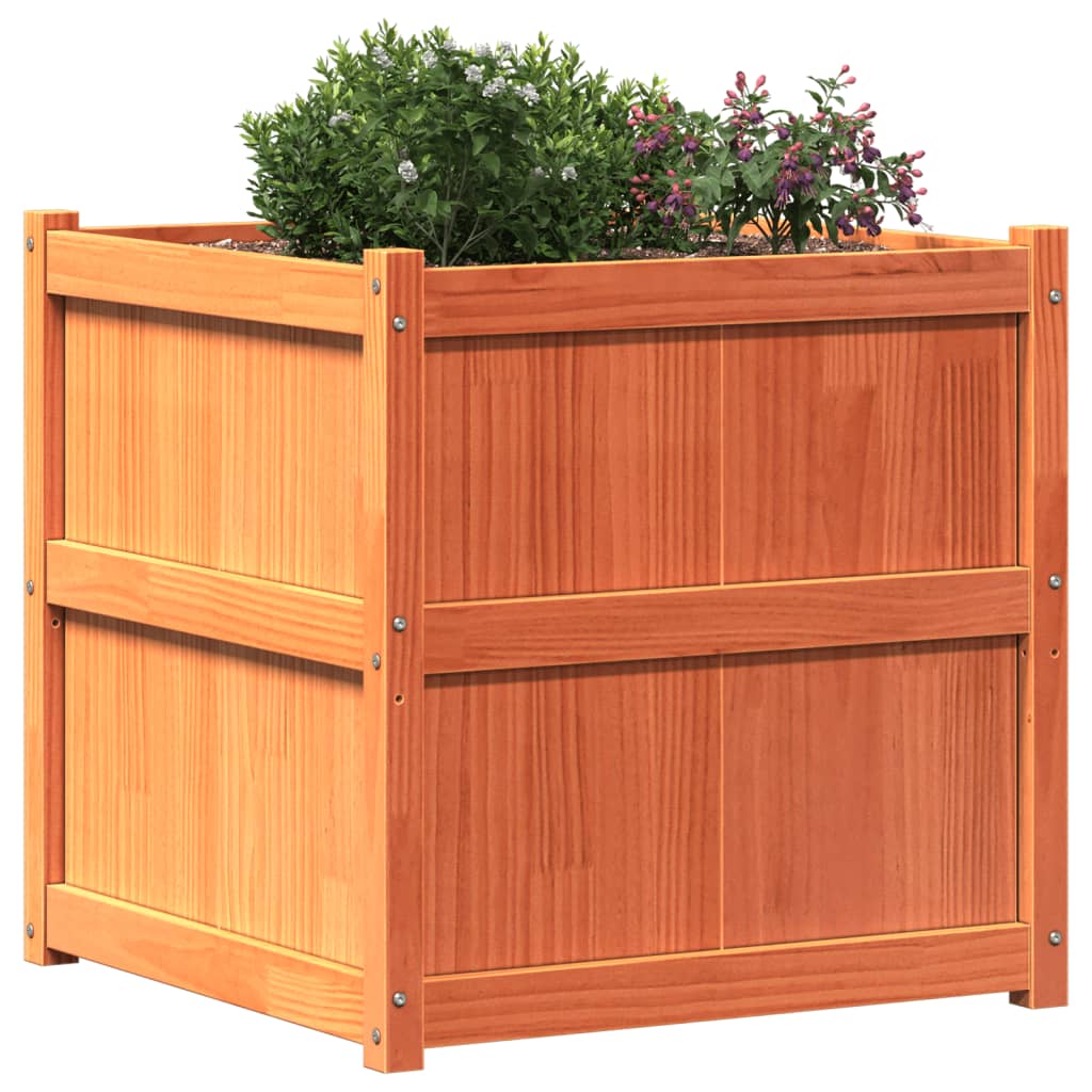plantekasse 70x70x70 cm massivt fyrretræ gyldenbrun