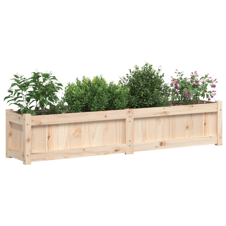 plantekasse 150x31x31 cm massivt fyrretræ