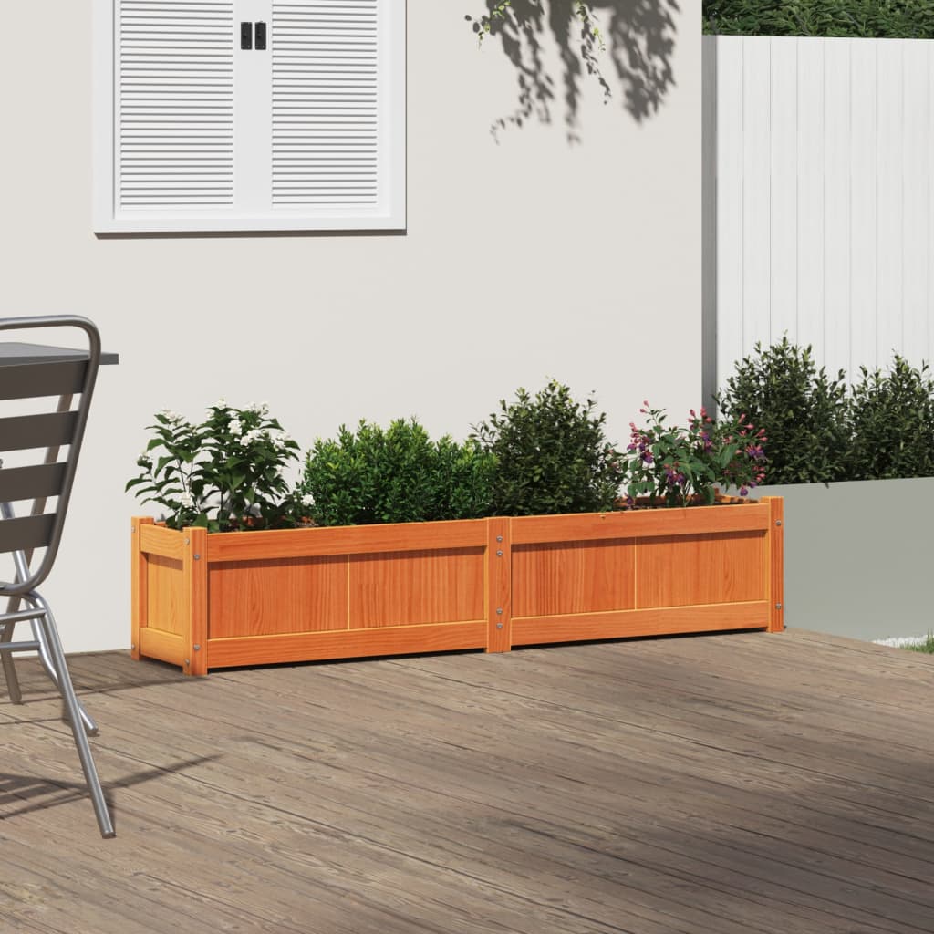 plantekasse 150x31x31 cm massivt fyrretræ gyldenbrun