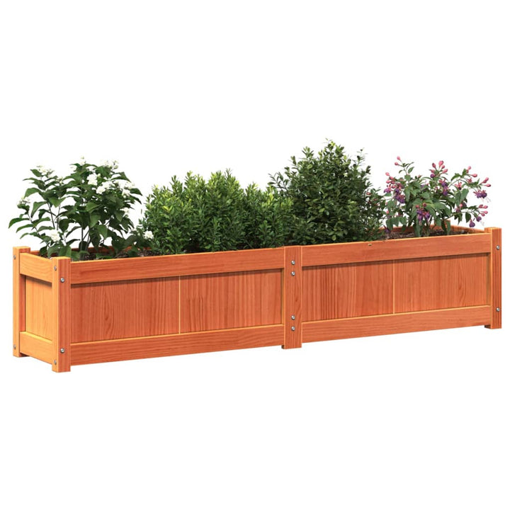plantekasse 150x31x31 cm massivt fyrretræ gyldenbrun