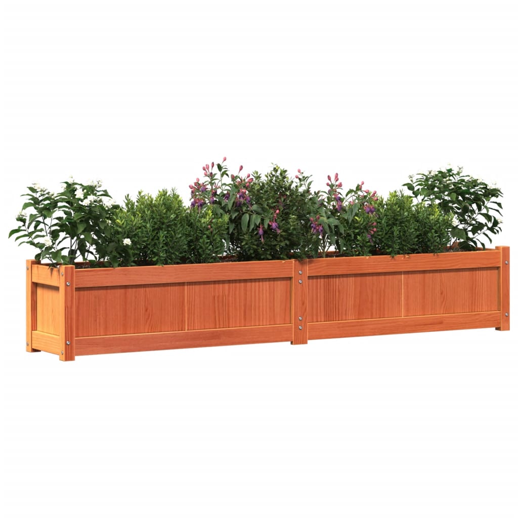 plantekasse 180x31x31 cm massivt fyrretræ gyldenbrun