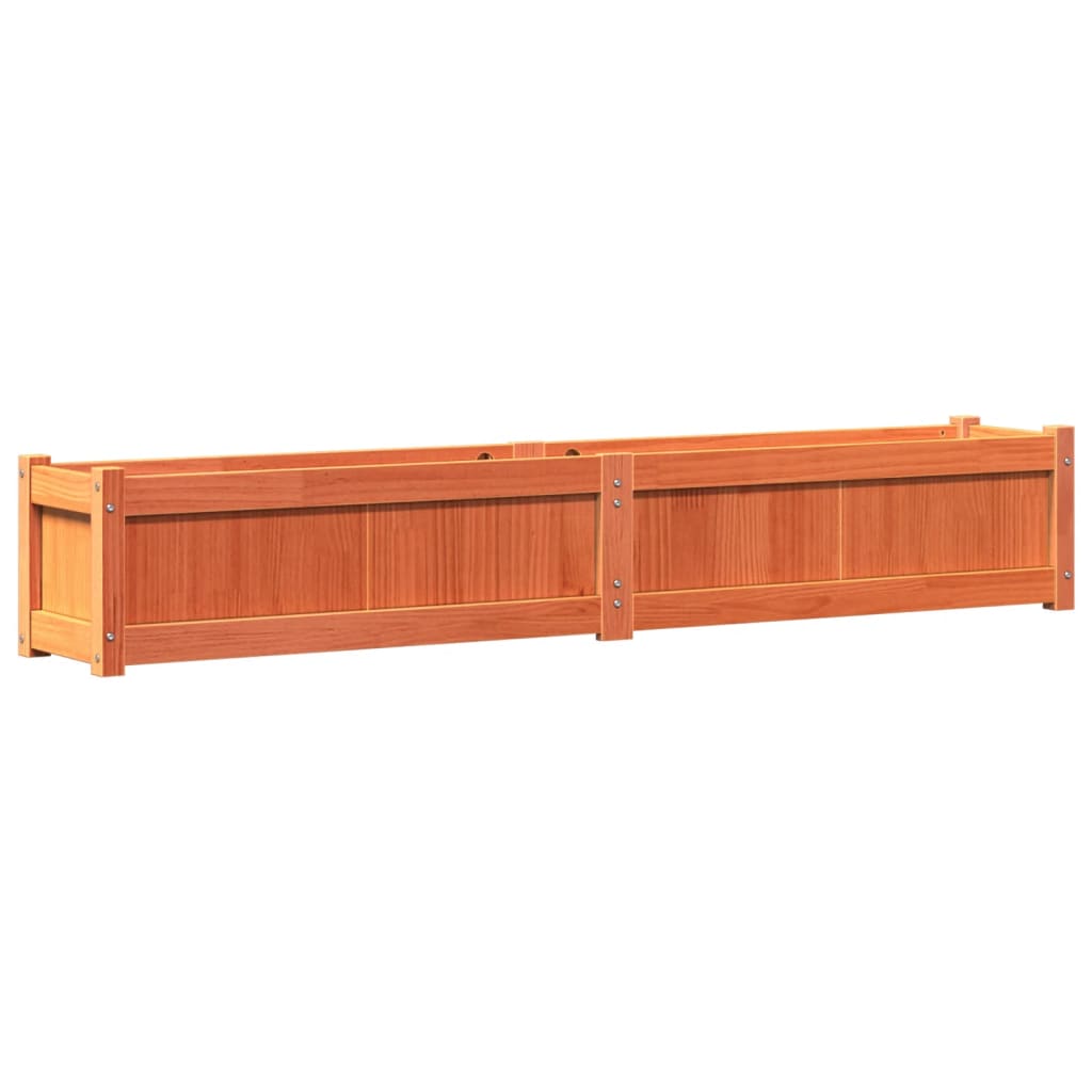 plantekasse 180x31x31 cm massivt fyrretræ gyldenbrun